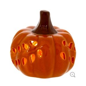 Cinnamon Light Up Cutout Pumpkin 🎃